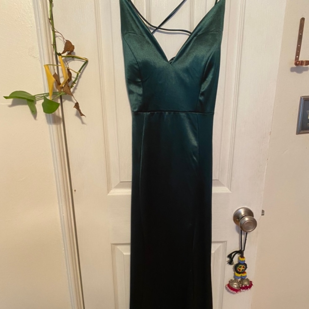 Windsor floor length formal gown (never worn)